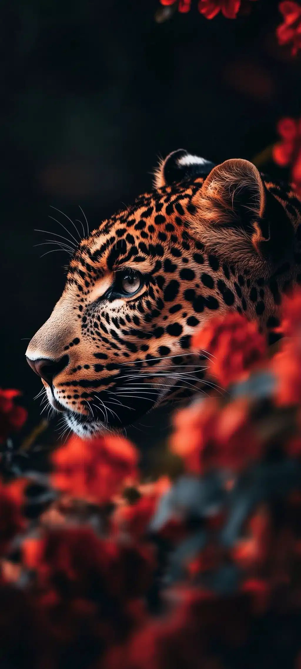 Bengal Tiger Hidden Red Roses