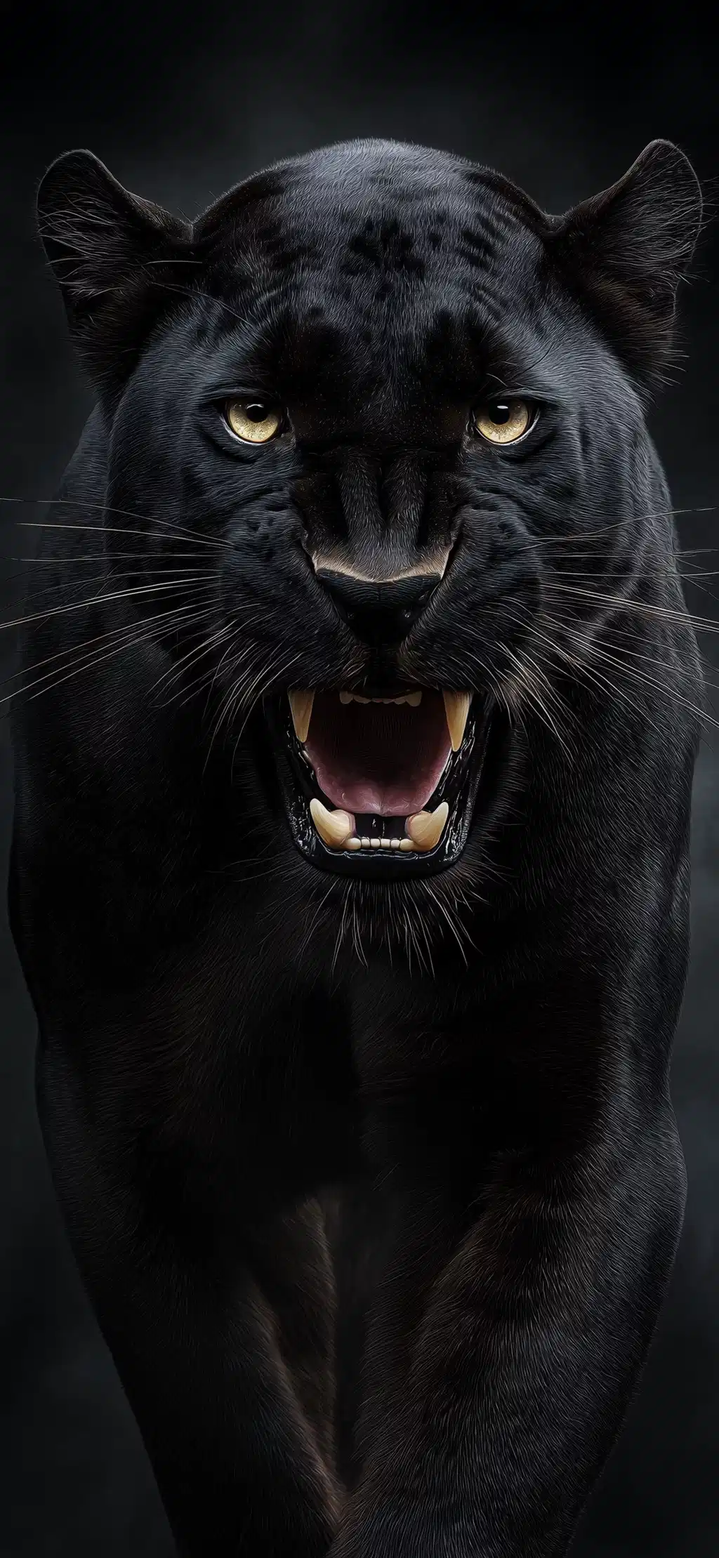 Black Panther Staring Intensely Darkness