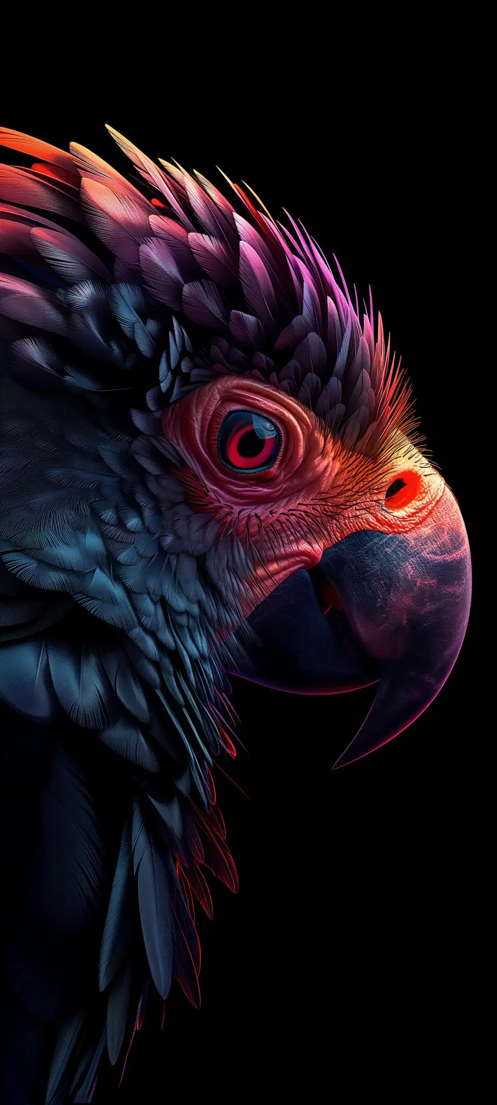 Colorful Macaw Parrot Dark Profile