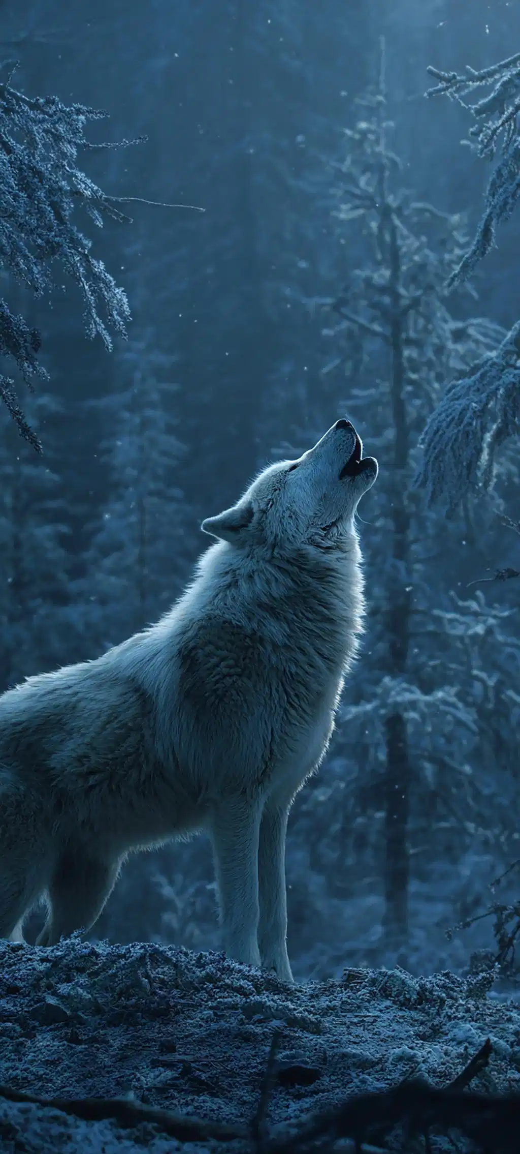 Lone Wolf Howling Starry Night Sky