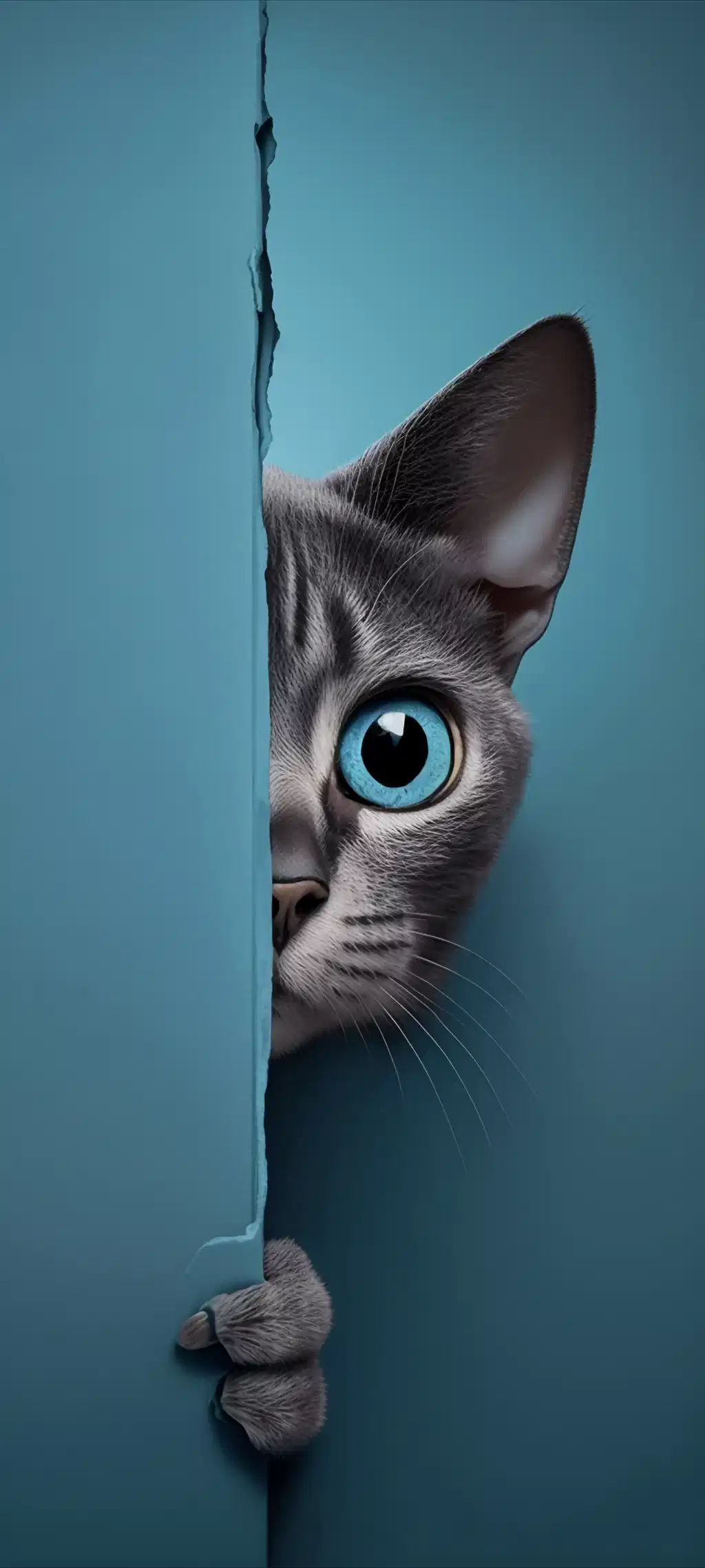 Cute Cat Peeking Blue Wall