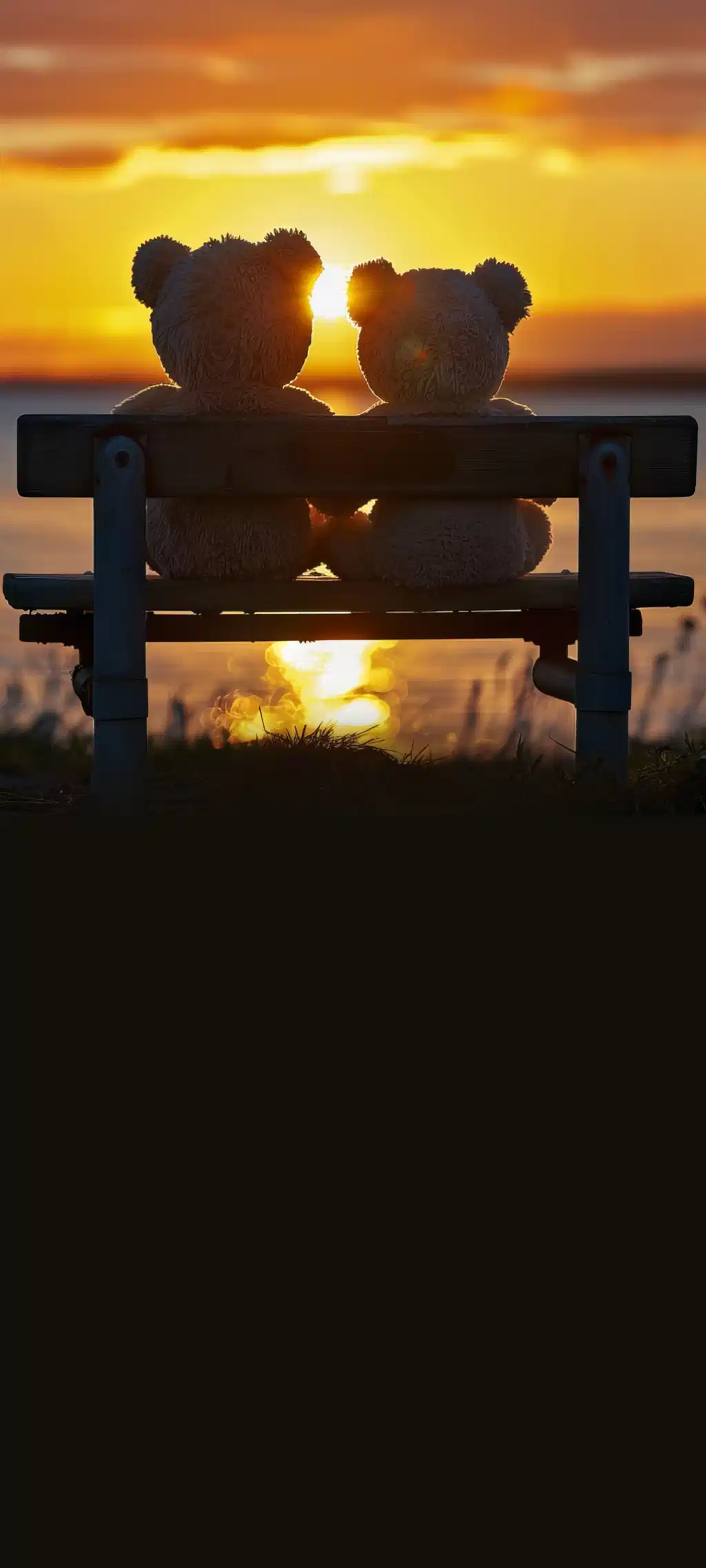 Two Cats Sitting Bench Sunset