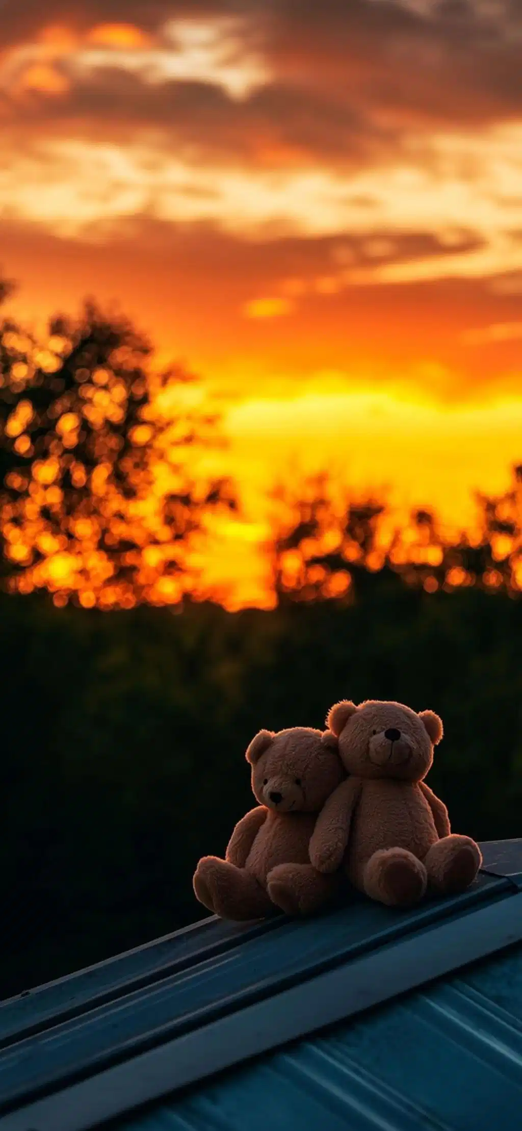 Two Puppies Watching Sunset Bench