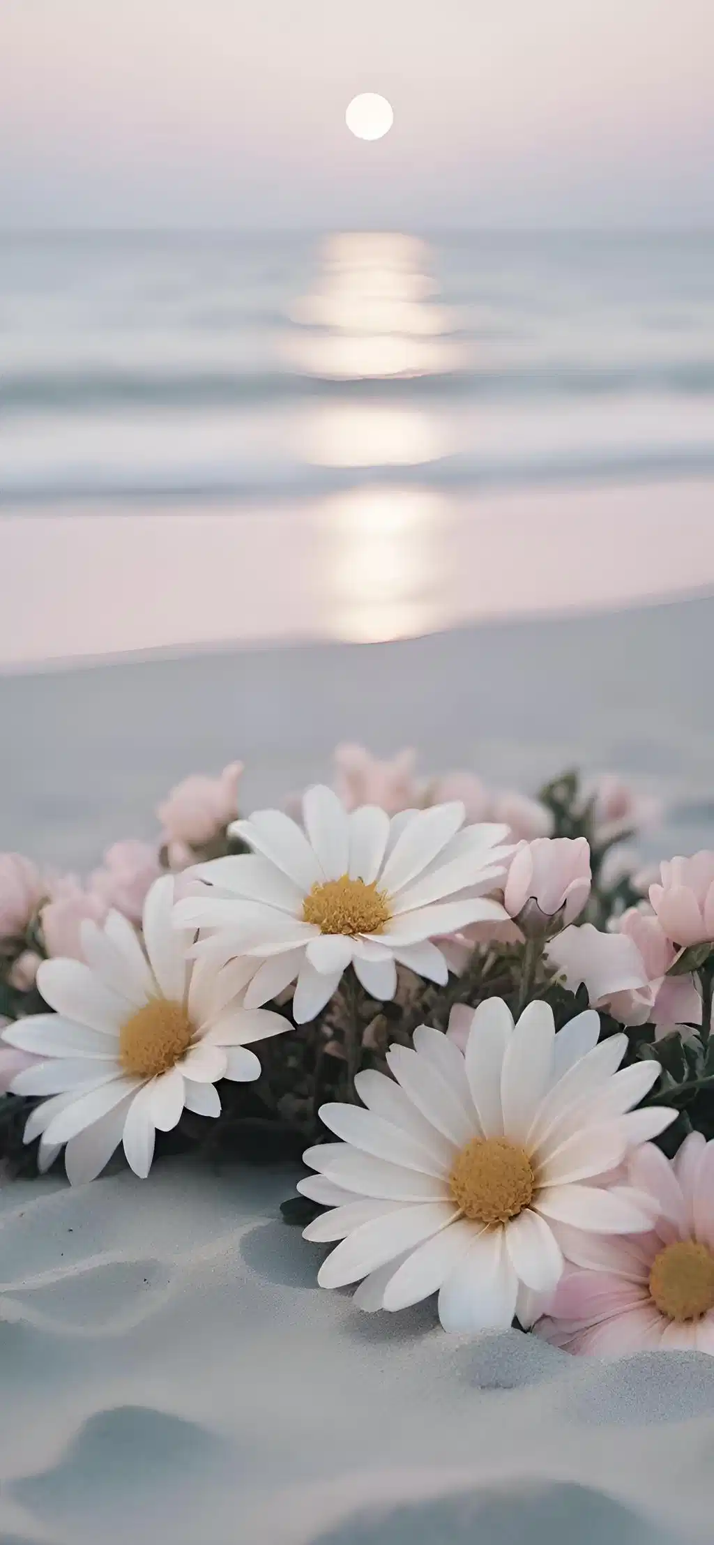 White Daisy Flowers Beach Ocean