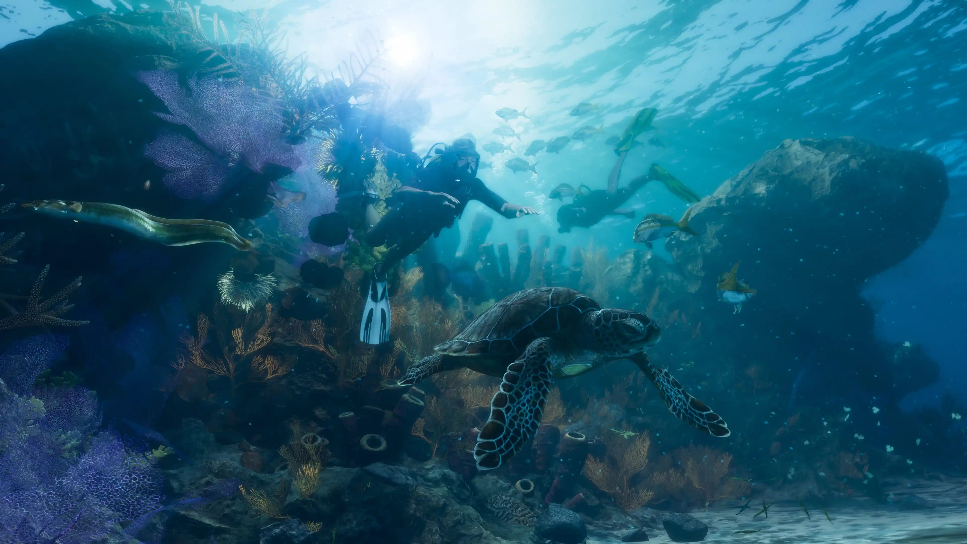 Leonida Reef