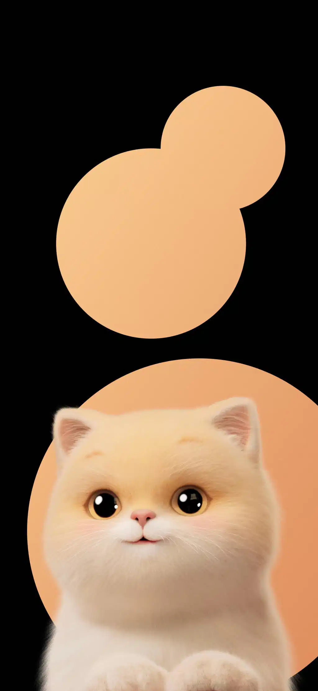 Cute Fluffy Cat Mobile Wallpaper