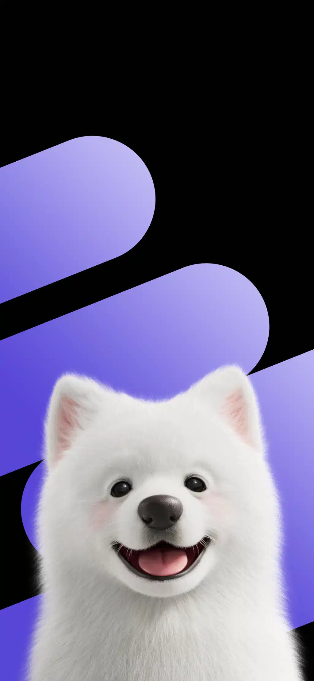 Cute White Dog Samoyed Mobile Wallpaper