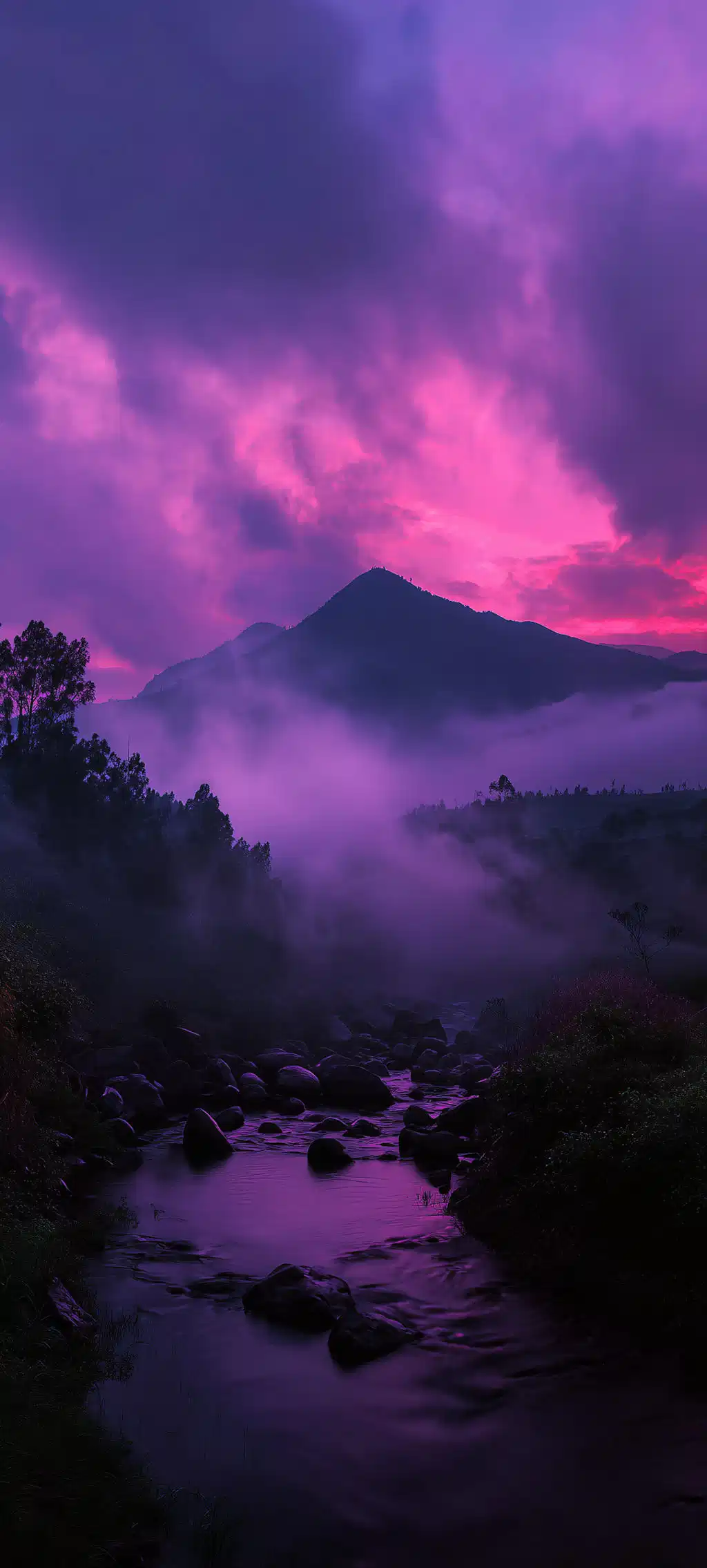 Dark Moody Forest Purple Sunset
