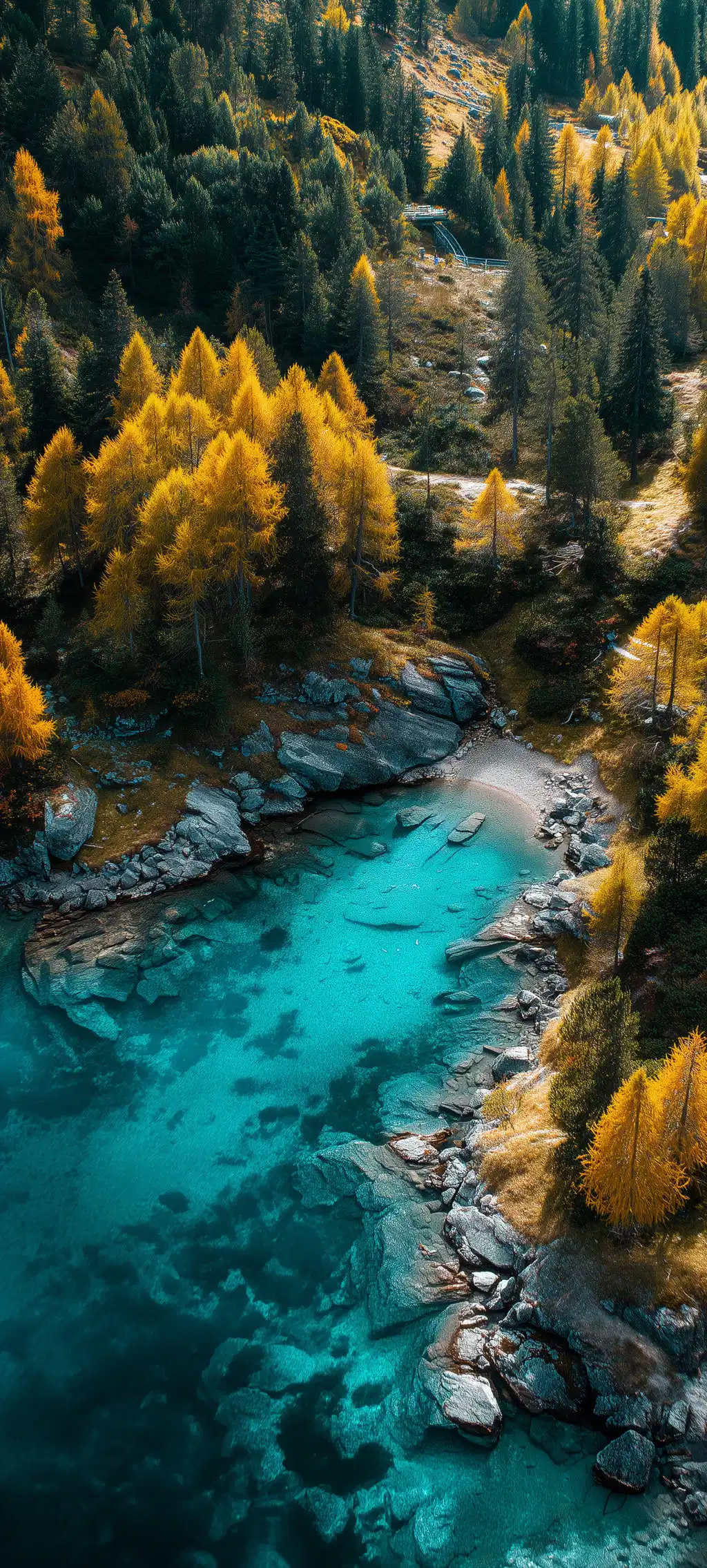 Turquoise River Autumn Forest Trees