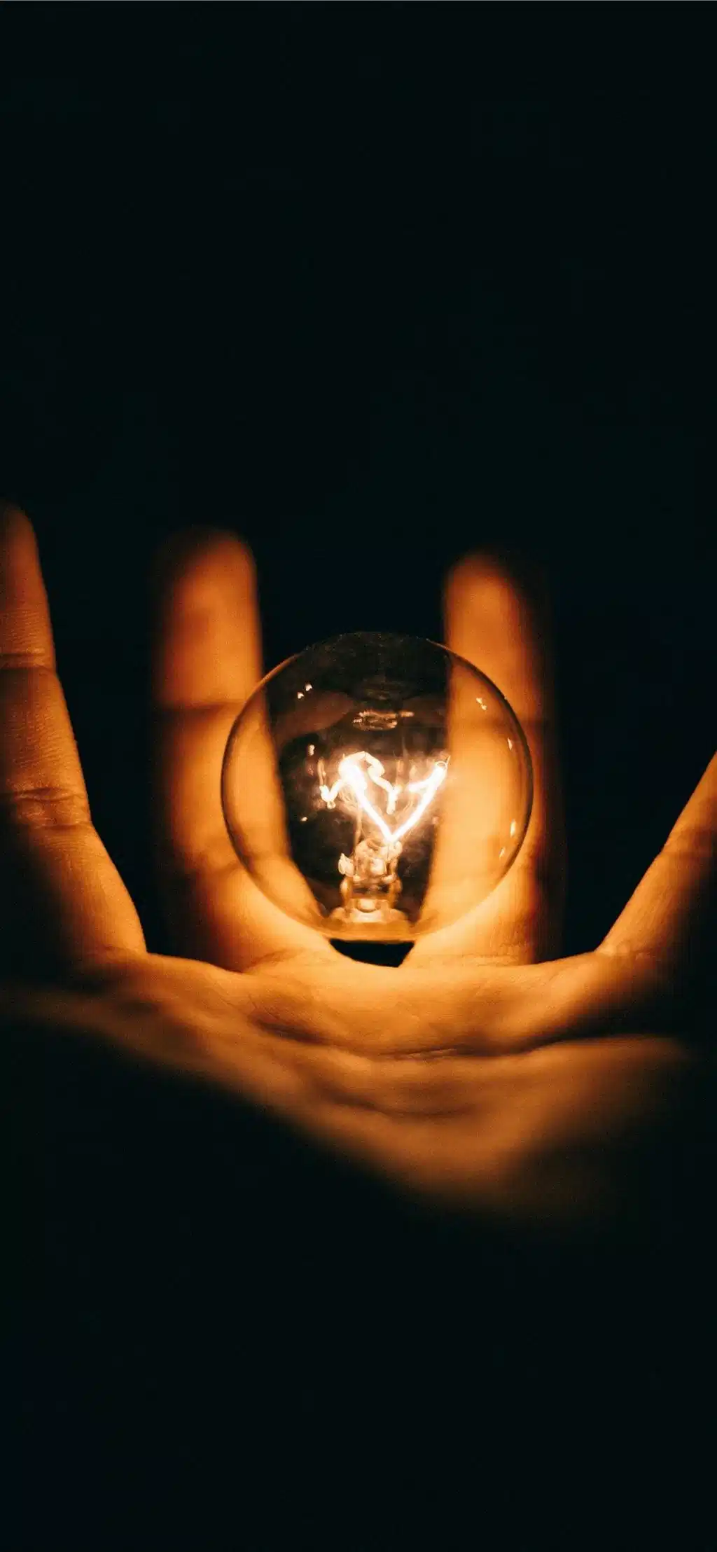 Glowing Bulb Held In Hands Dark