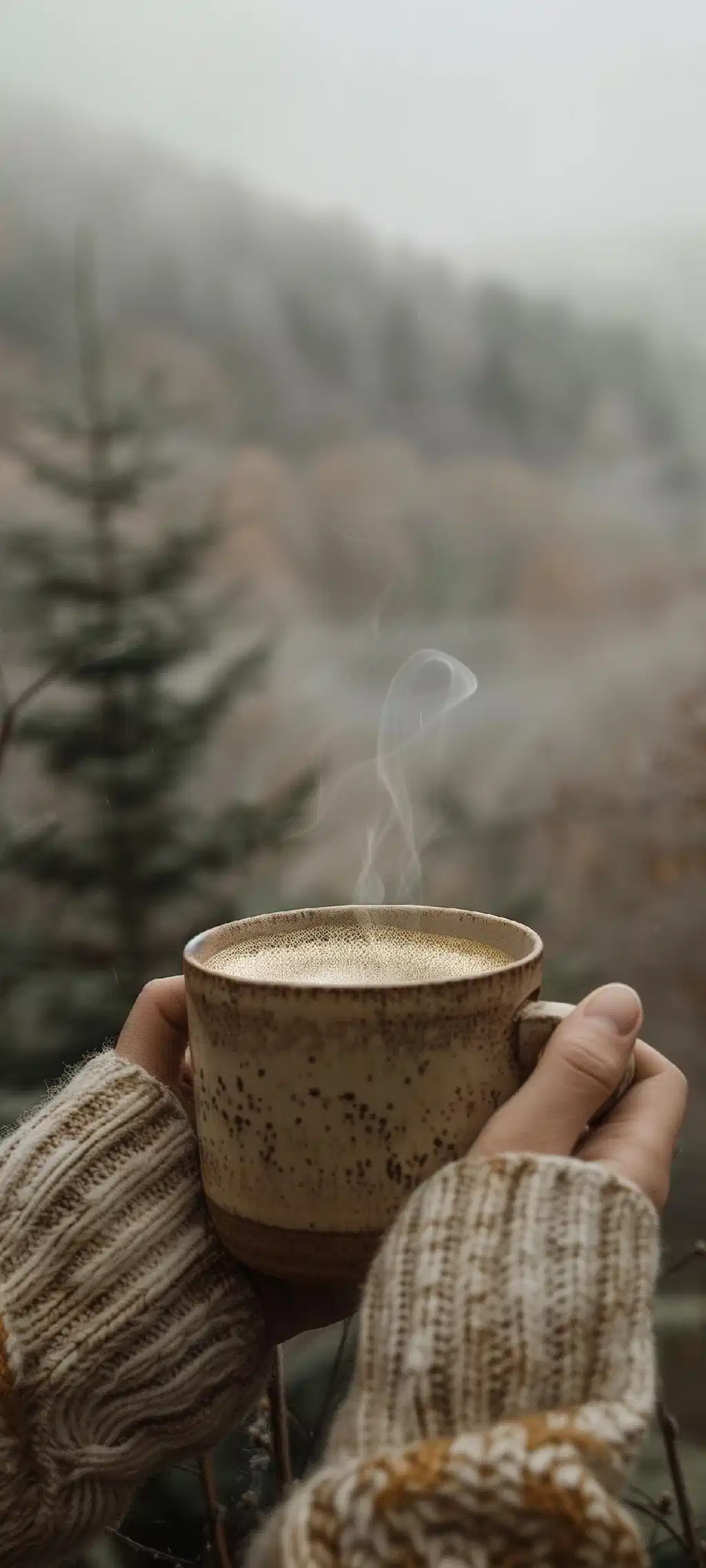 Hands Holding Warm Mug Foggy Forest