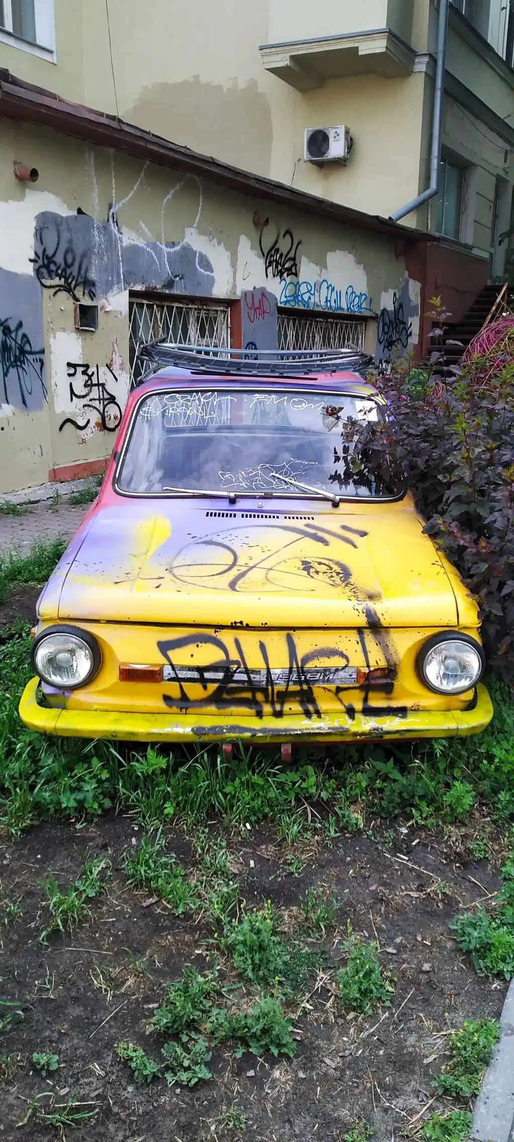 Vintage Yellow Car Overgrown Grass